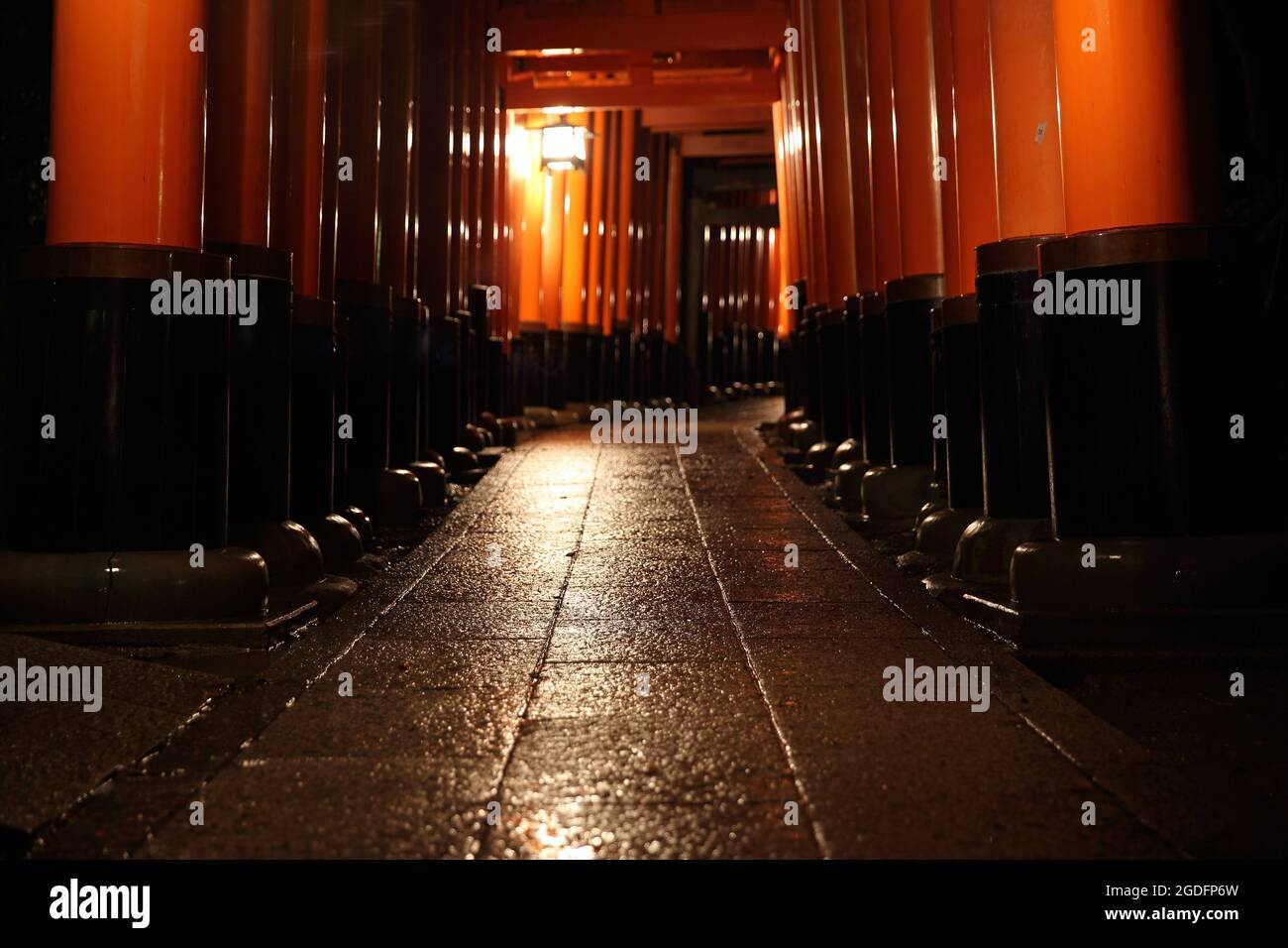 Tori gates in Fushimi Inari Shrine at night with selective focus and ...