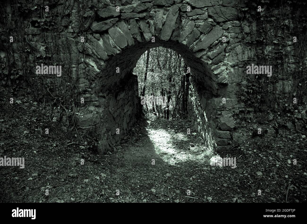 Old historic ruins of Scharfeneck castle with stone window and sun light black and white. Inside a historic ruin. Spooky mood. An abandoned castle. Stock Photo