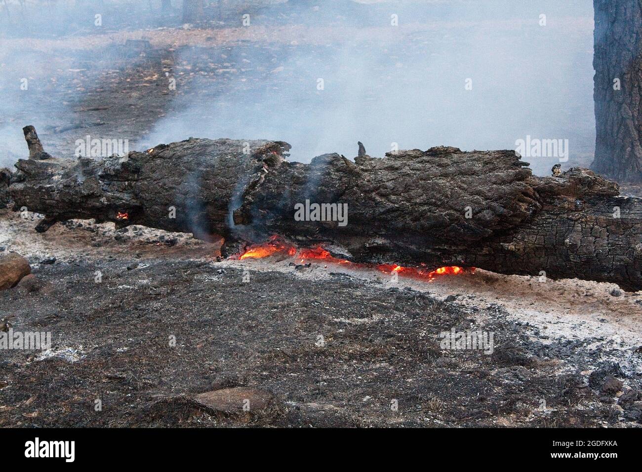 Closeup of fire and smoke in Flagstaff, Arizona during daylight Stock