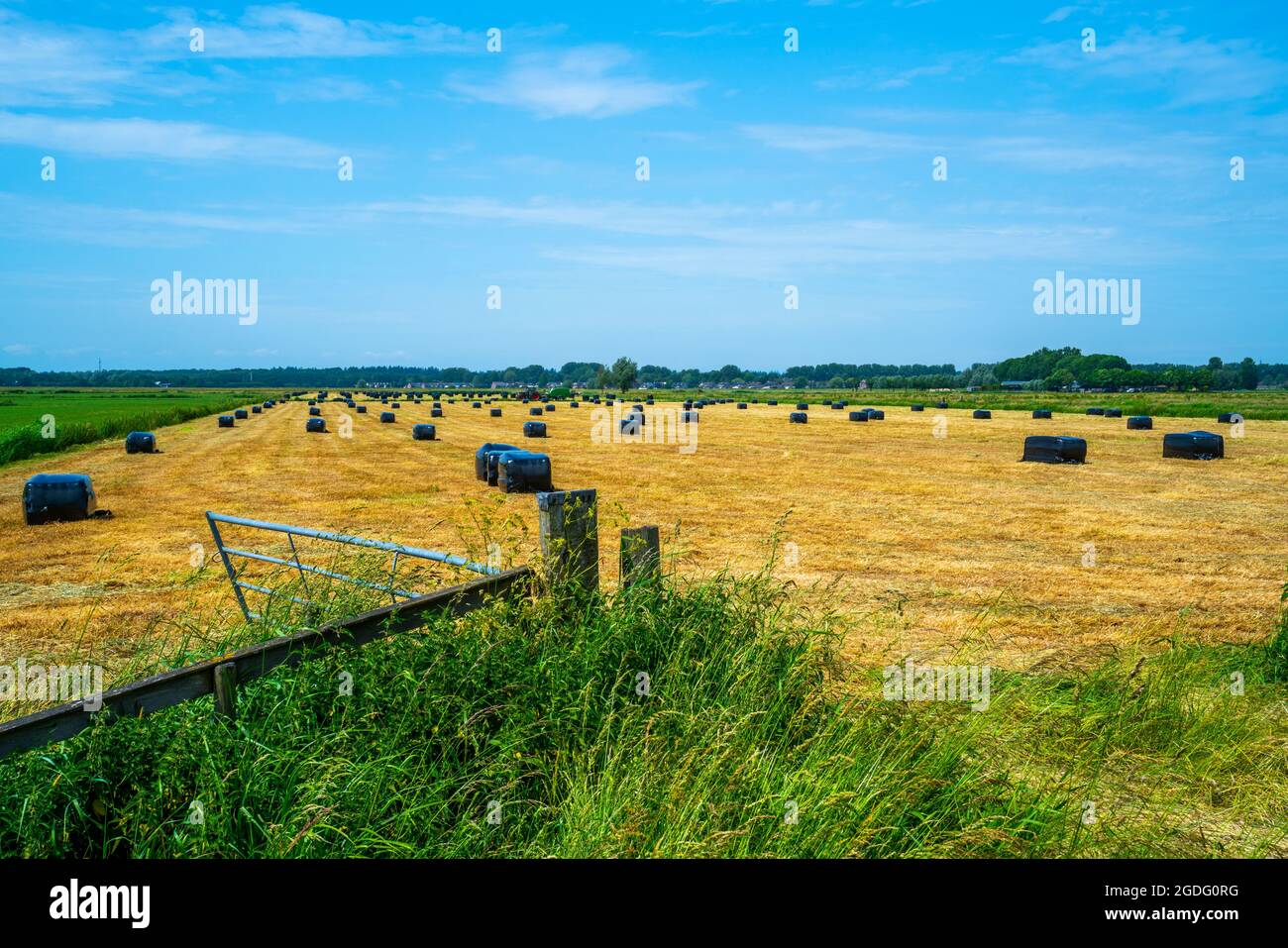 Panoramic landscape with packed hay Stock Photo