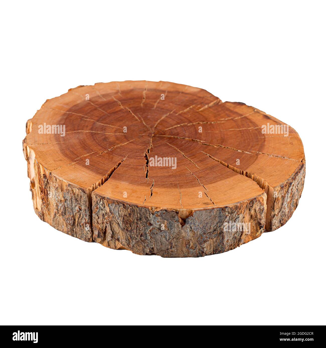 Isolated natural decorative pine round wood slice Stock Photo