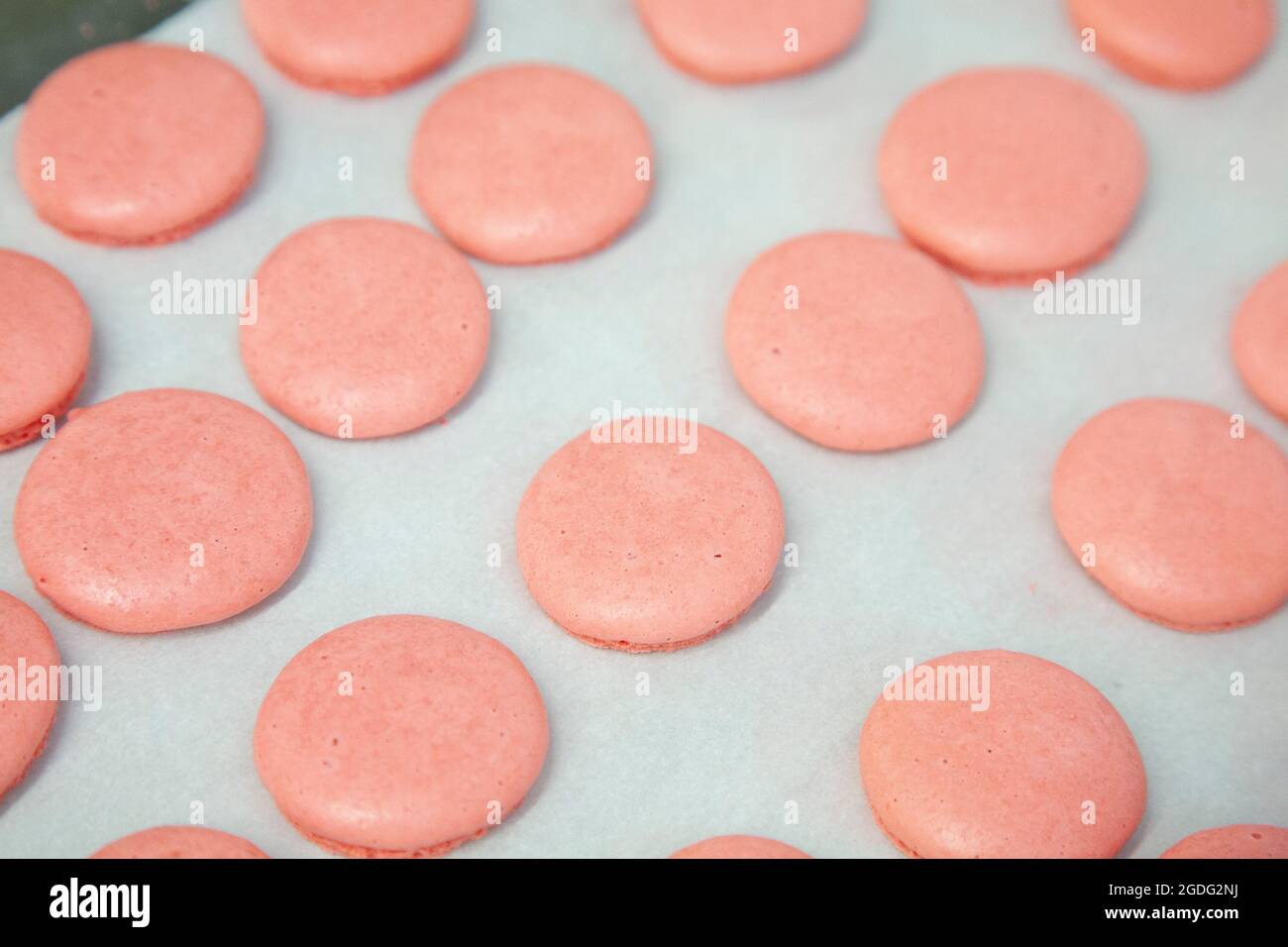 Pink macarons Macaronor French macaroon is a sweet meringuebased