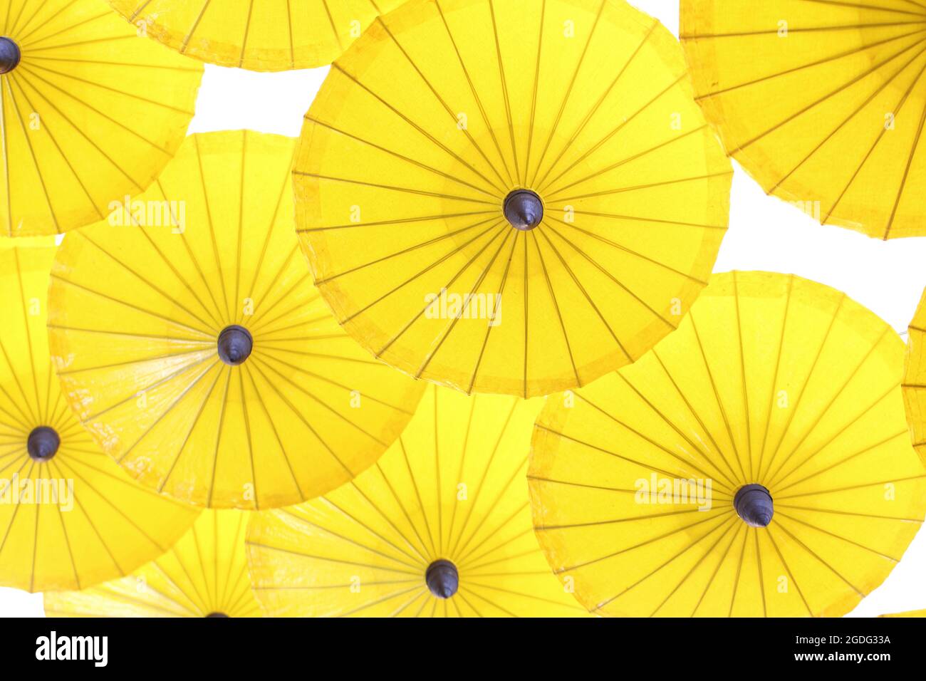 Yellow Umbrella pattern on white background Stock Photo - Alamy