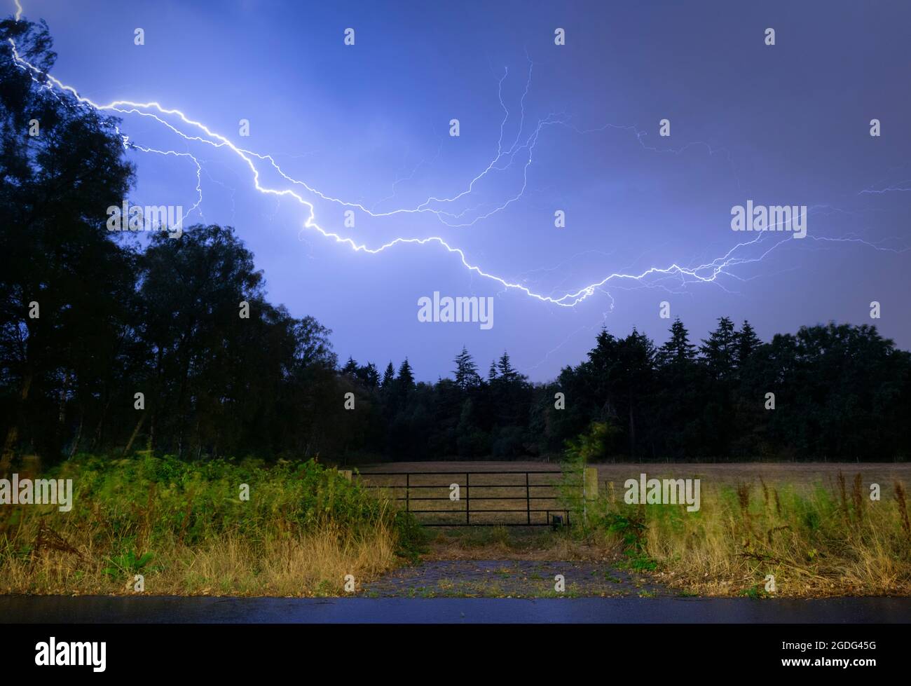 Thunderstorm at night over Mastbos woods, Breda, Noord-Brabant, Netherlands Stock Photo
