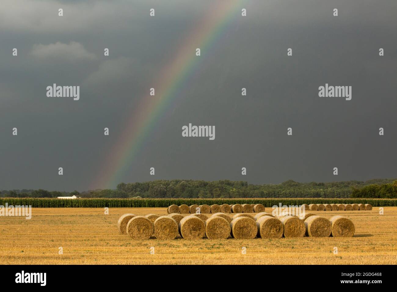 Rainbow and hay bales on field, Kiskunsagi National Park, Hungary Stock Photo