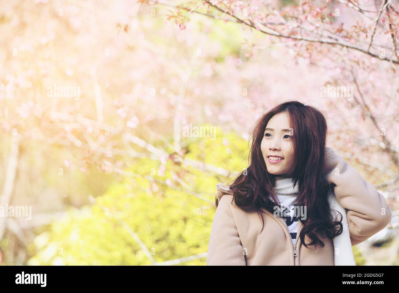Asian Woman with cherry blossom nature background Stock Photo