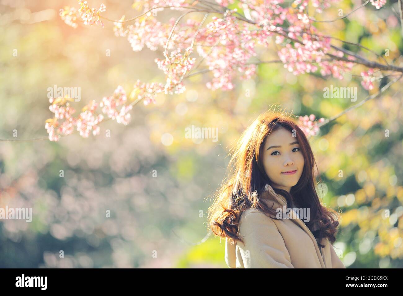 Asian Woman with cherry blossom nature background Stock Photo