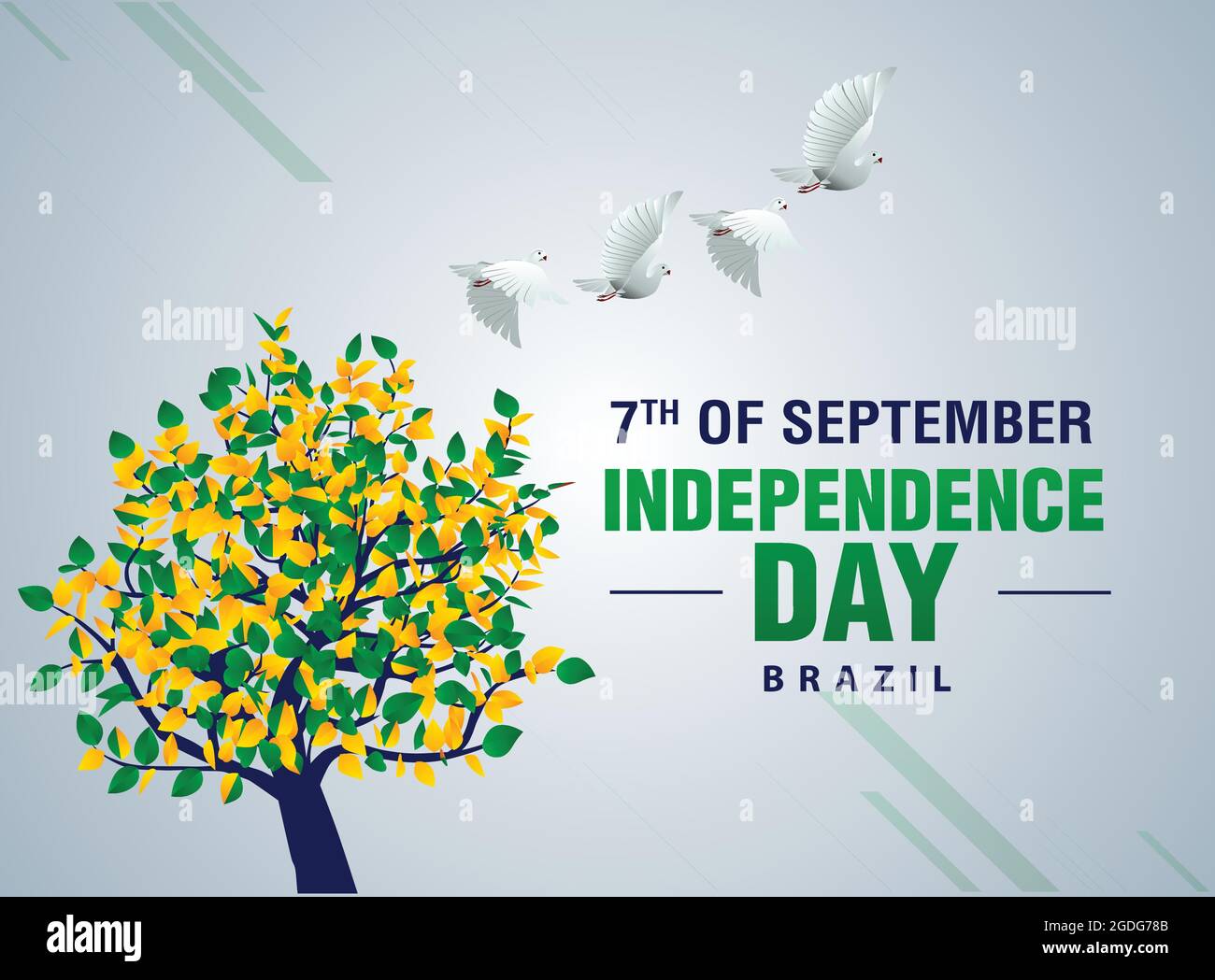 Brazil independence day poster design with tree and pigeon Stock Vector ...