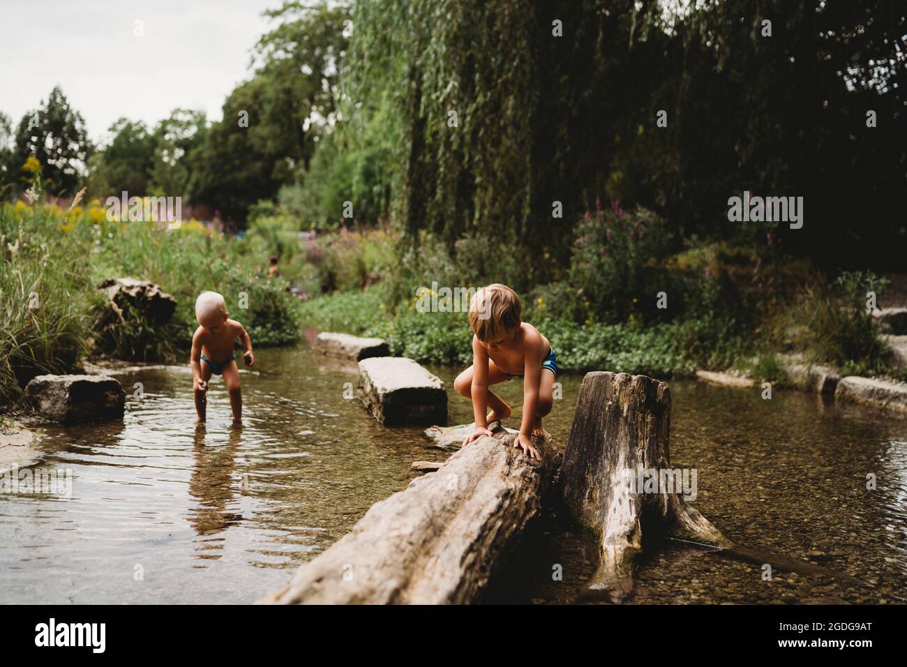Kids playing in the water in stream by rocks and logs in summer Stock Photo