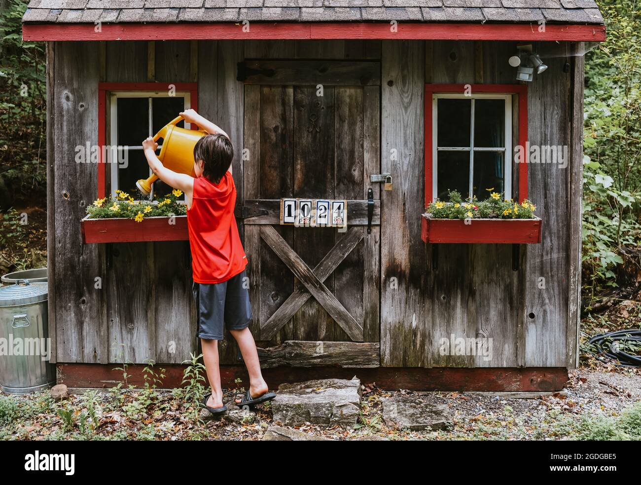 Boy watering flowers in window boxes of shed with big watering can. Stock Photo