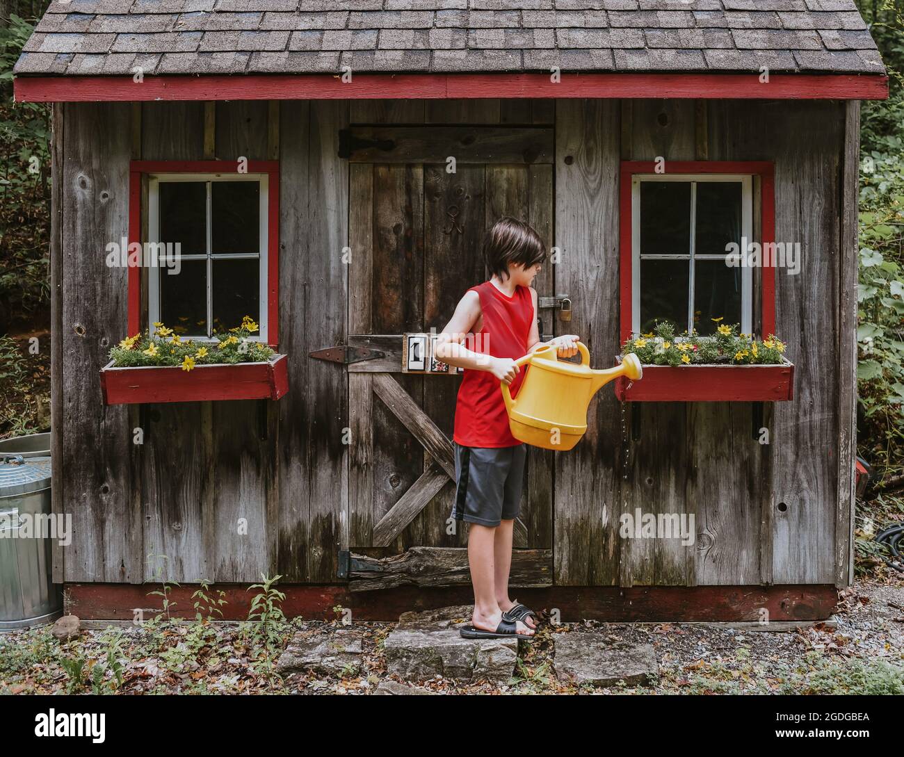 Boy watering flowers in window boxes of shed with big watering can. Stock Photo