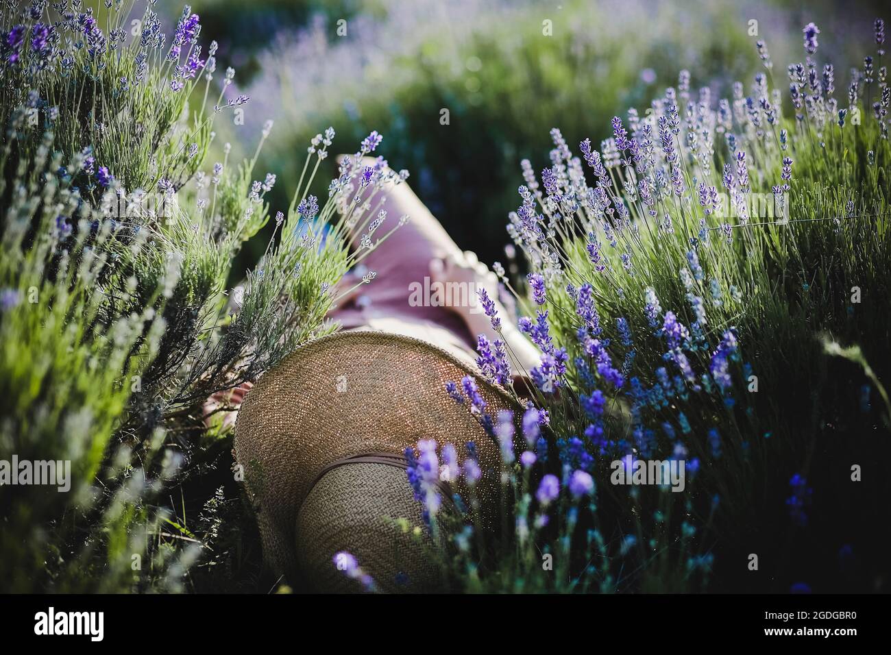 The image of a woman who lies among the flowering lavender bushes Stock Photo