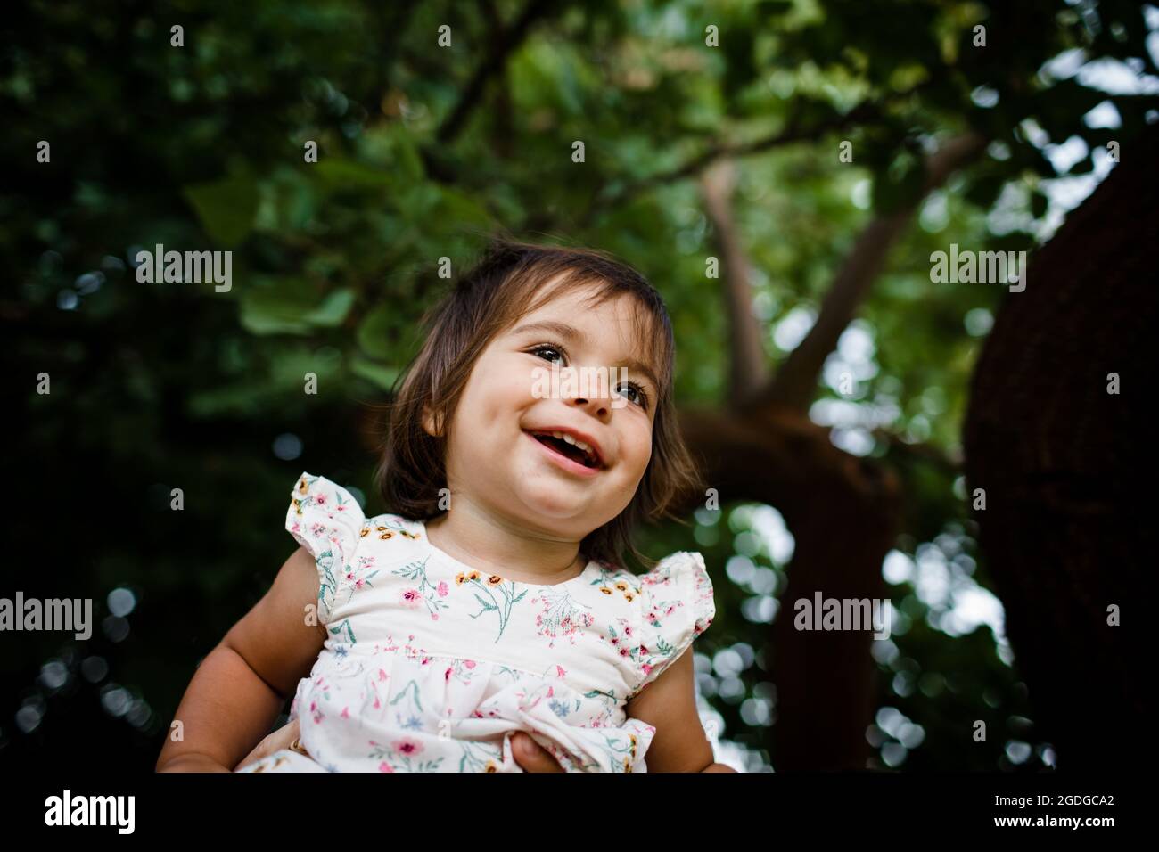 One Year Old Sitting in Tree & Smiling in San Diego Stock Photo