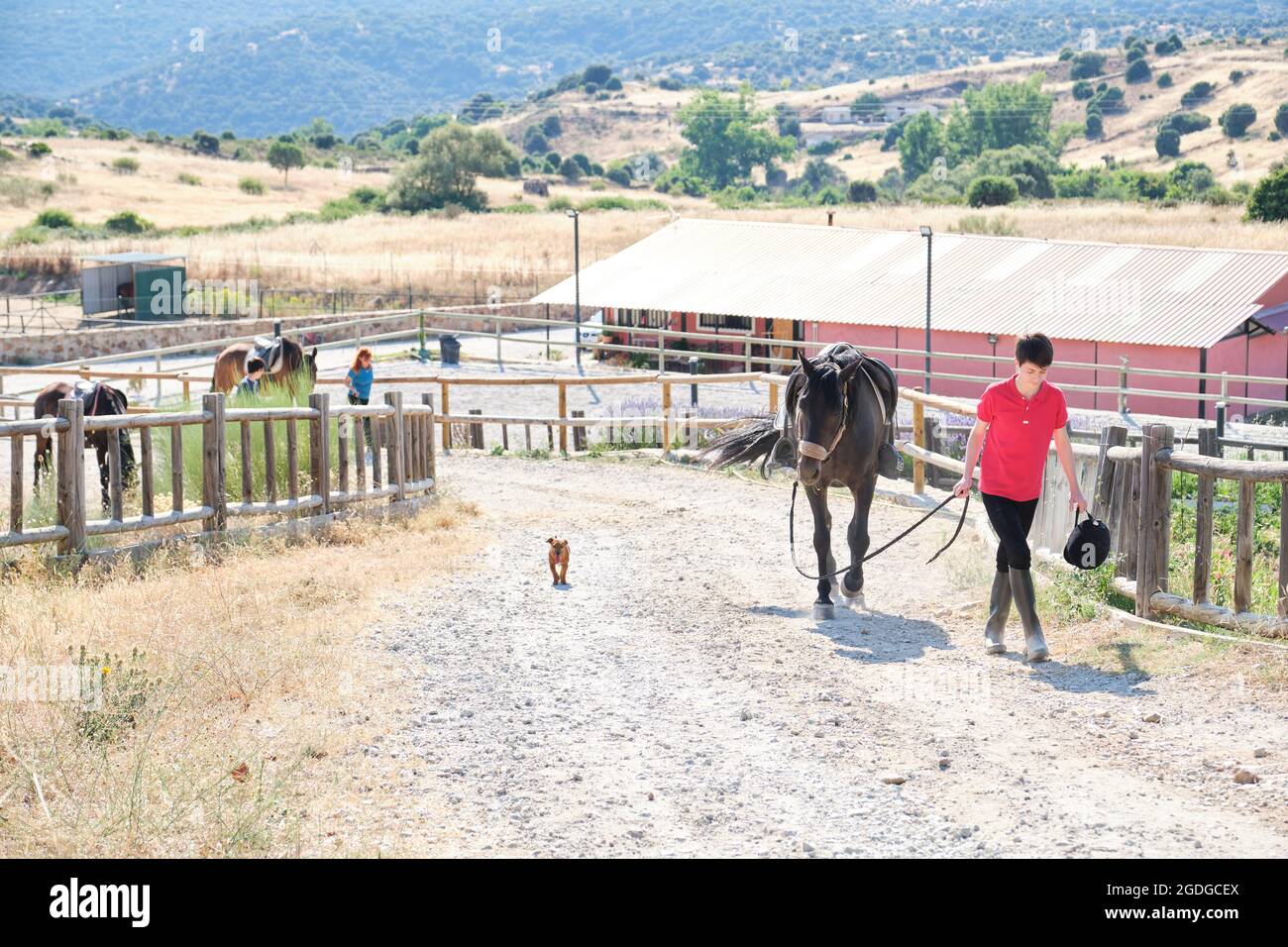 Teenage boy leading a horse out of a stable followed by his family. Stock Photo
