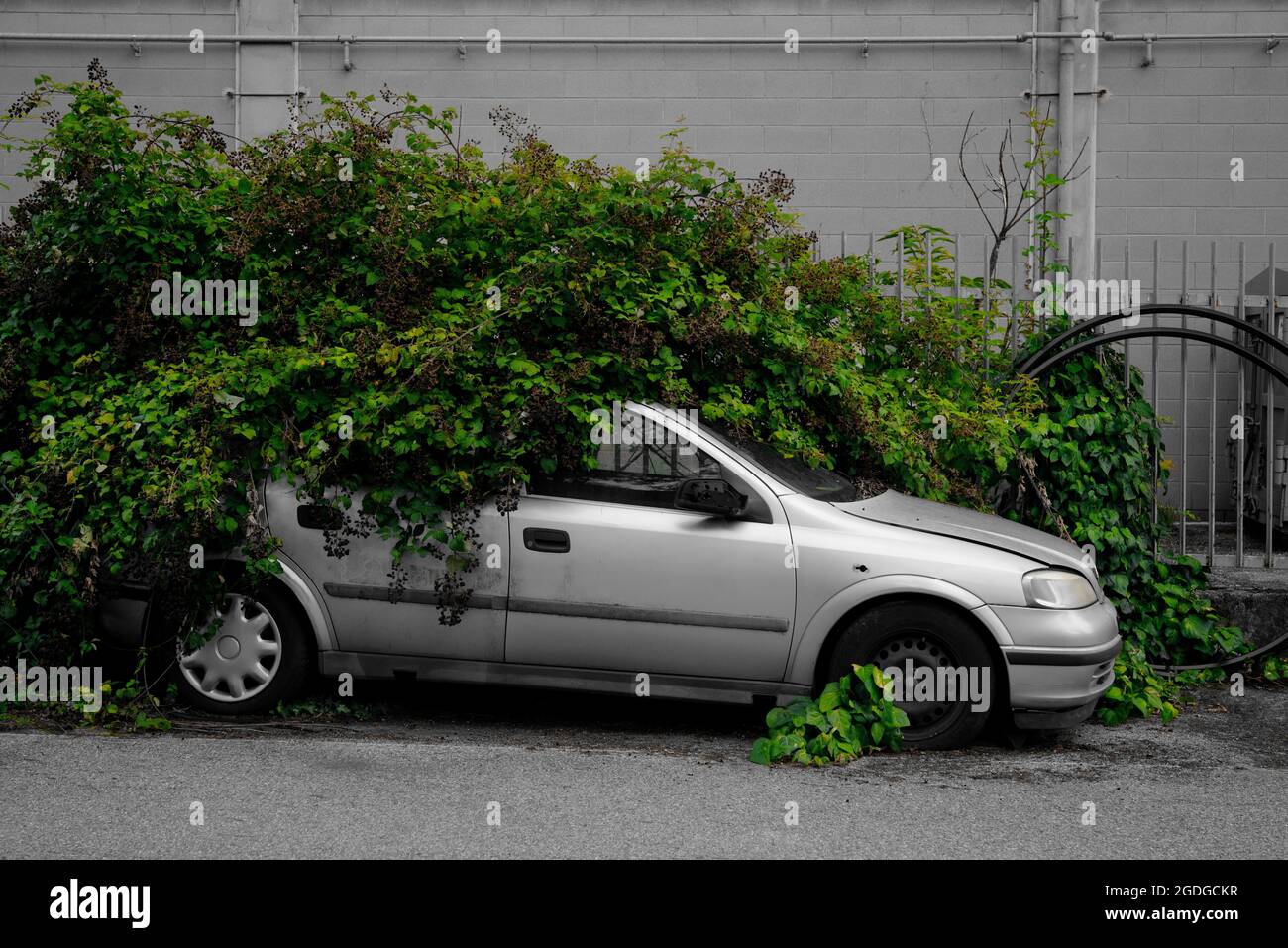 Abandoned car hi-res stock photography and images - Alamy