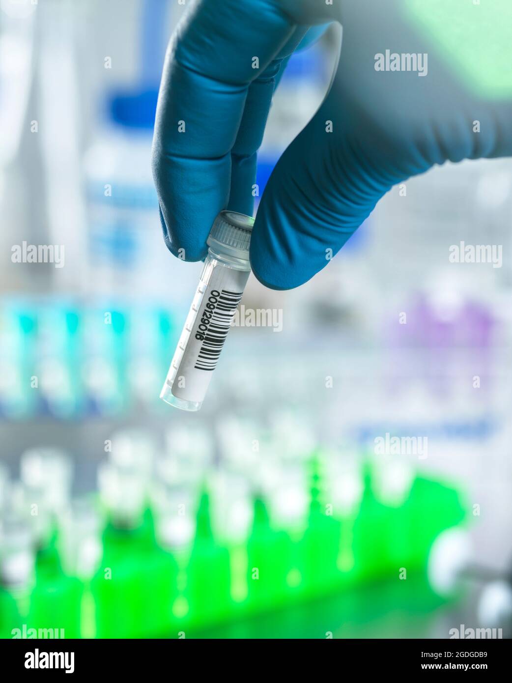 Scientist preparing DNA samples for testing in the lab. Stock Photo