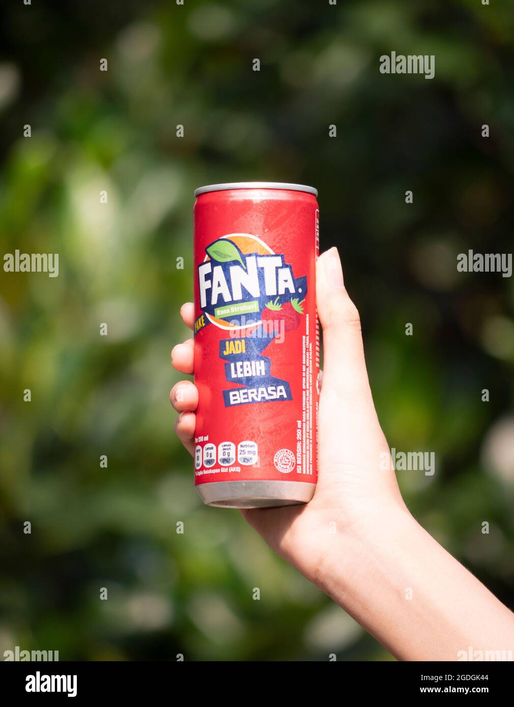 Jakarta, Indonesia-August 13, 2021: close up of a hand holding a soft drink can on a blurry leaf background Stock Photo