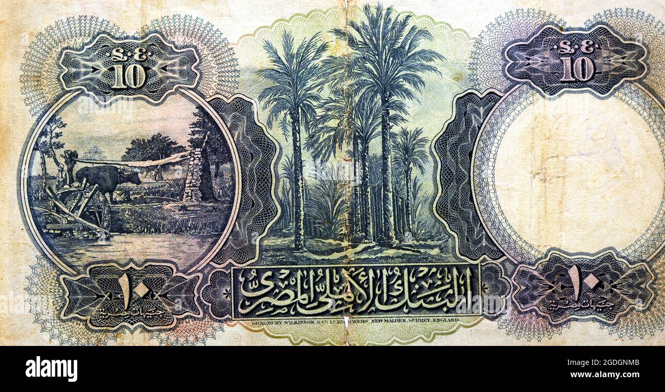 reverse side of 10 LE ten Egyptian pounds banknote series 1937 issued by the national bank of Egypt with palm trees and farming at the countryside Stock Photo