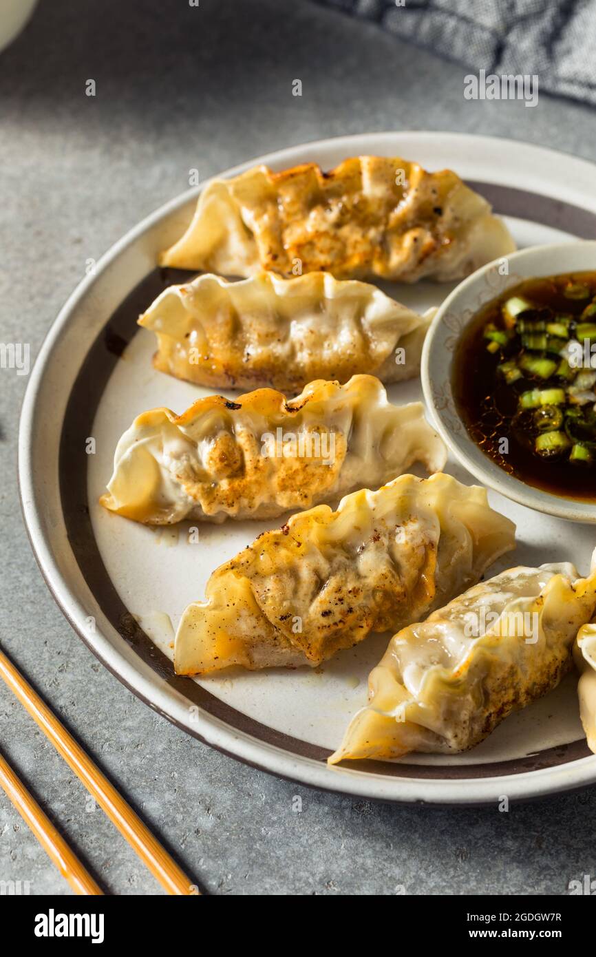 Homemade Korean Beef Mandu Potstickers with Dipping Sauce Stock Photo
