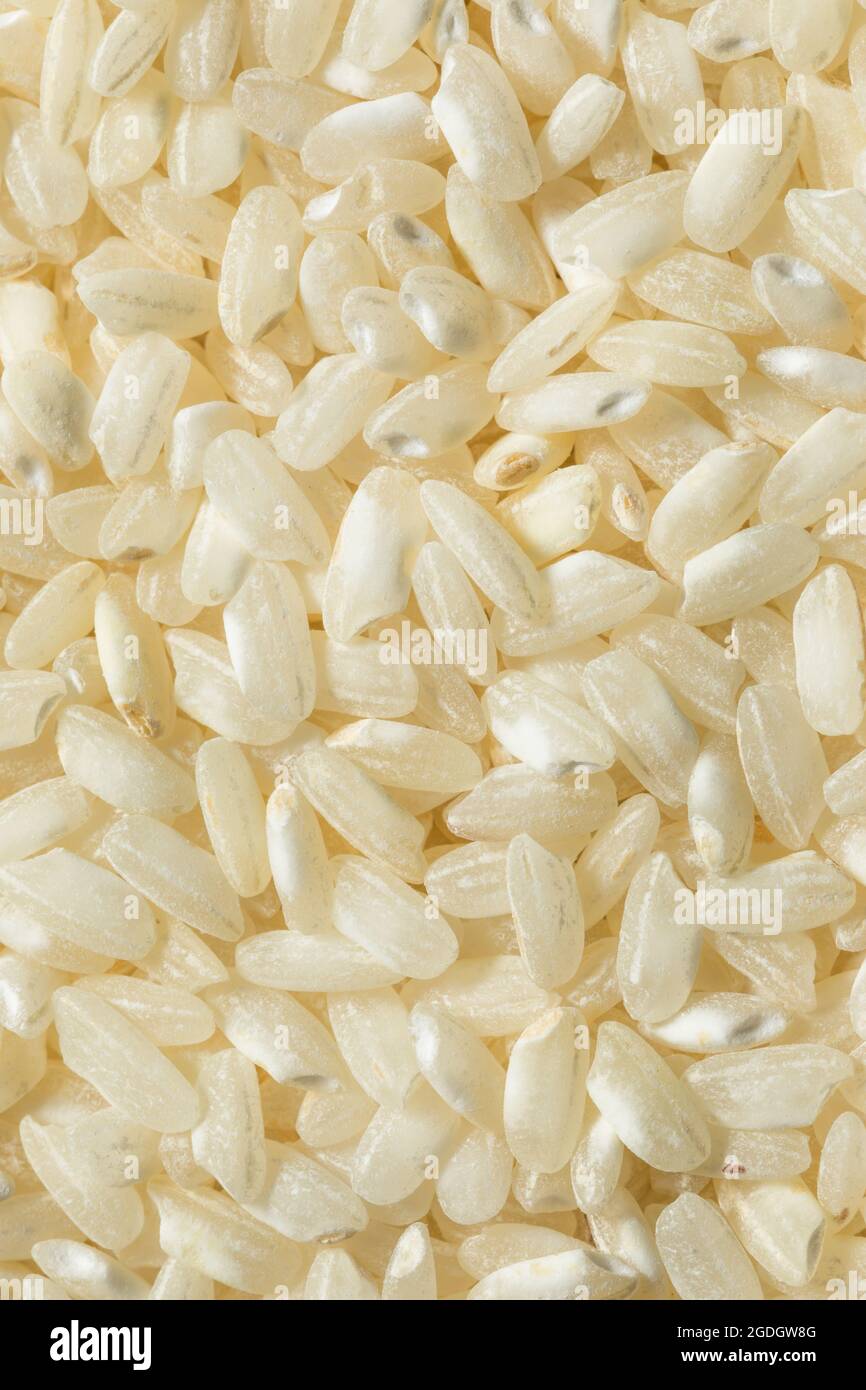 Raw White Organic Arborio Rice Ready to Cook Stock Photo Alamy