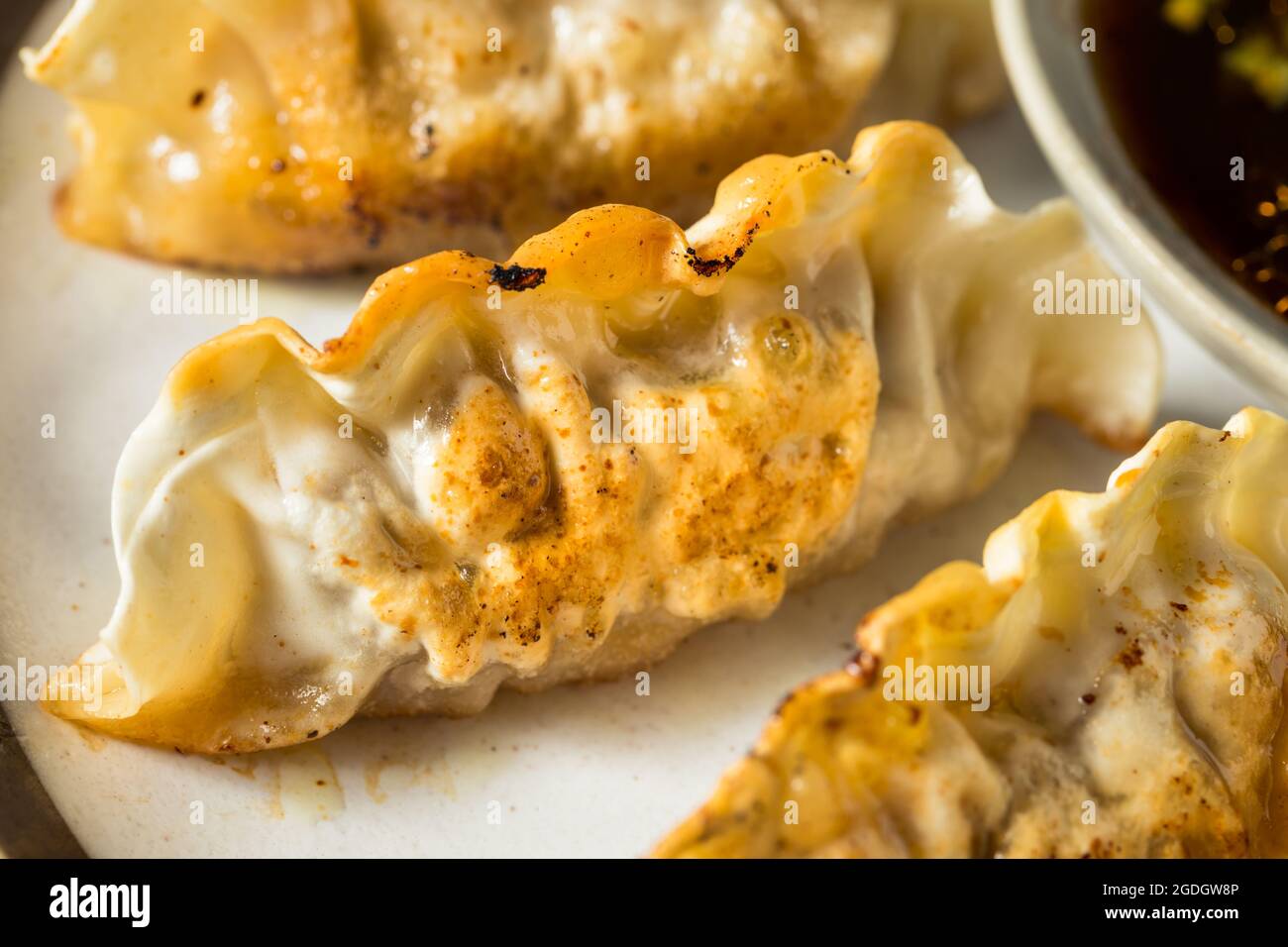 Homemade Korean Beef Mandu Potstickers with Dipping Sauce Stock Photo