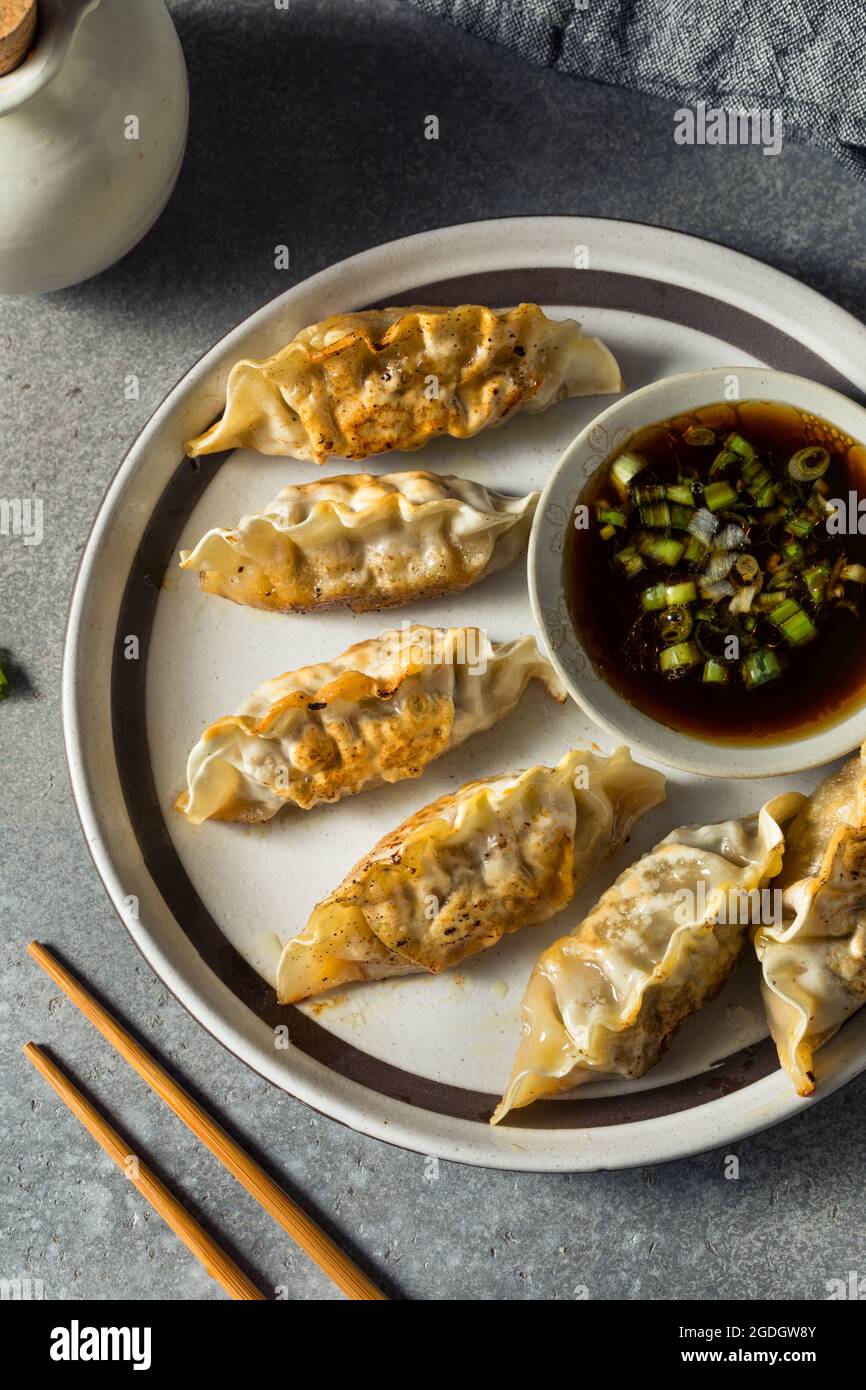 Homemade Korean Beef Mandu Potstickers with Dipping Sauce Stock Photo Alamy