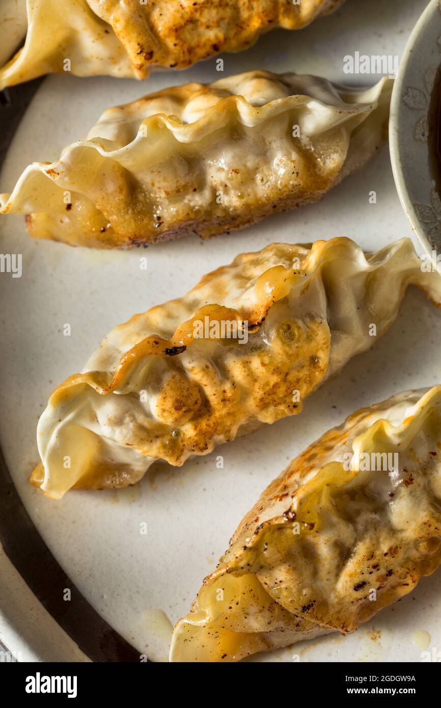 Homemade Korean Beef Mandu Potstickers with Dipping Sauce Stock Photo Alamy