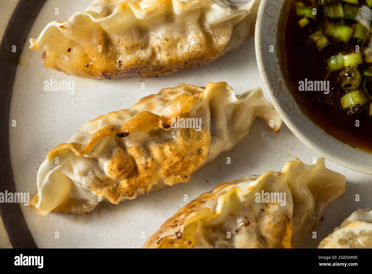 Homemade Korean Beef Mandu Potstickers with Dipping Sauce Stock Photo
