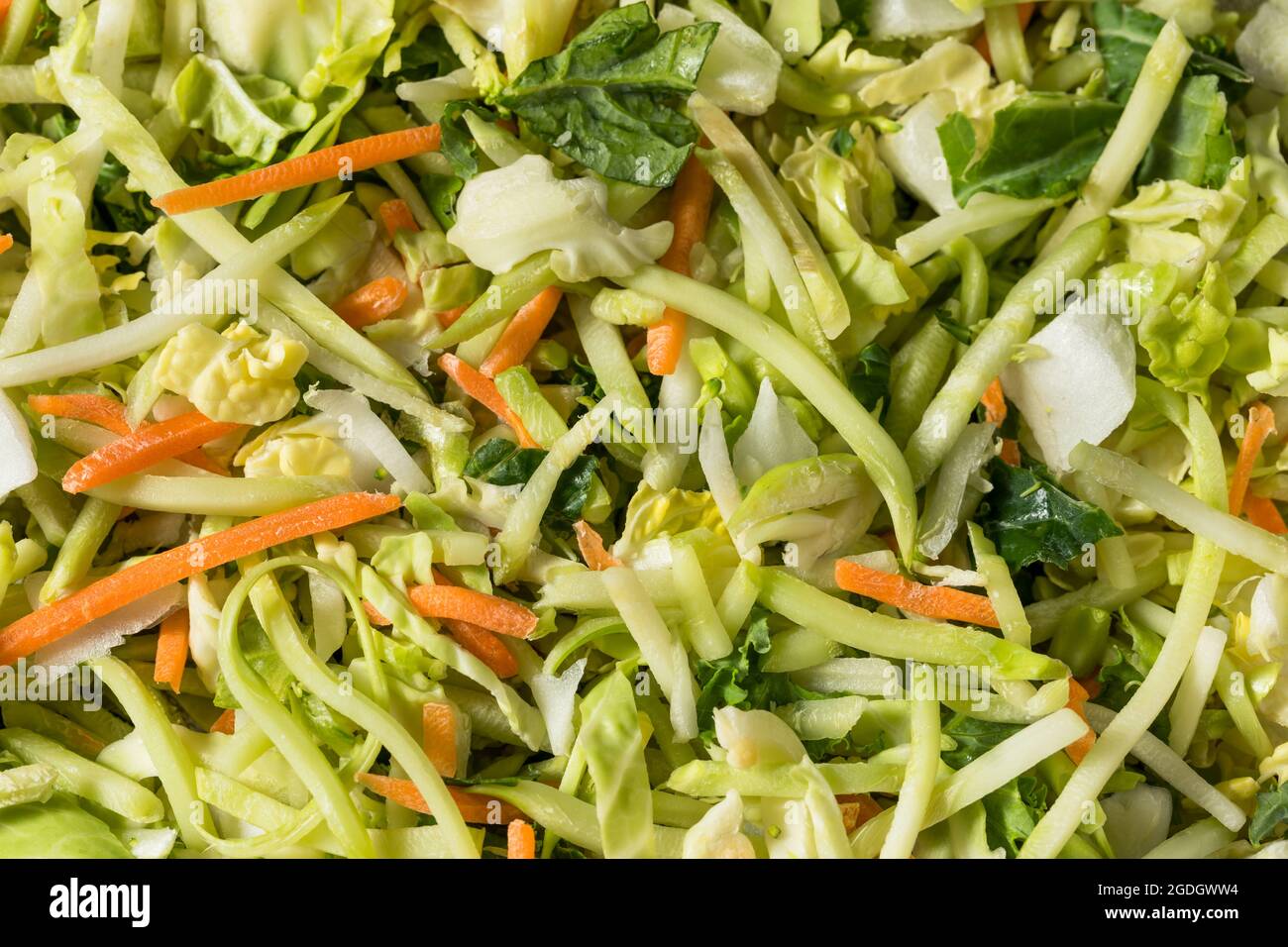 Healthy Homemade Shredded Cabbage Vegetable Power Blend in a Bowl Stock Photo
