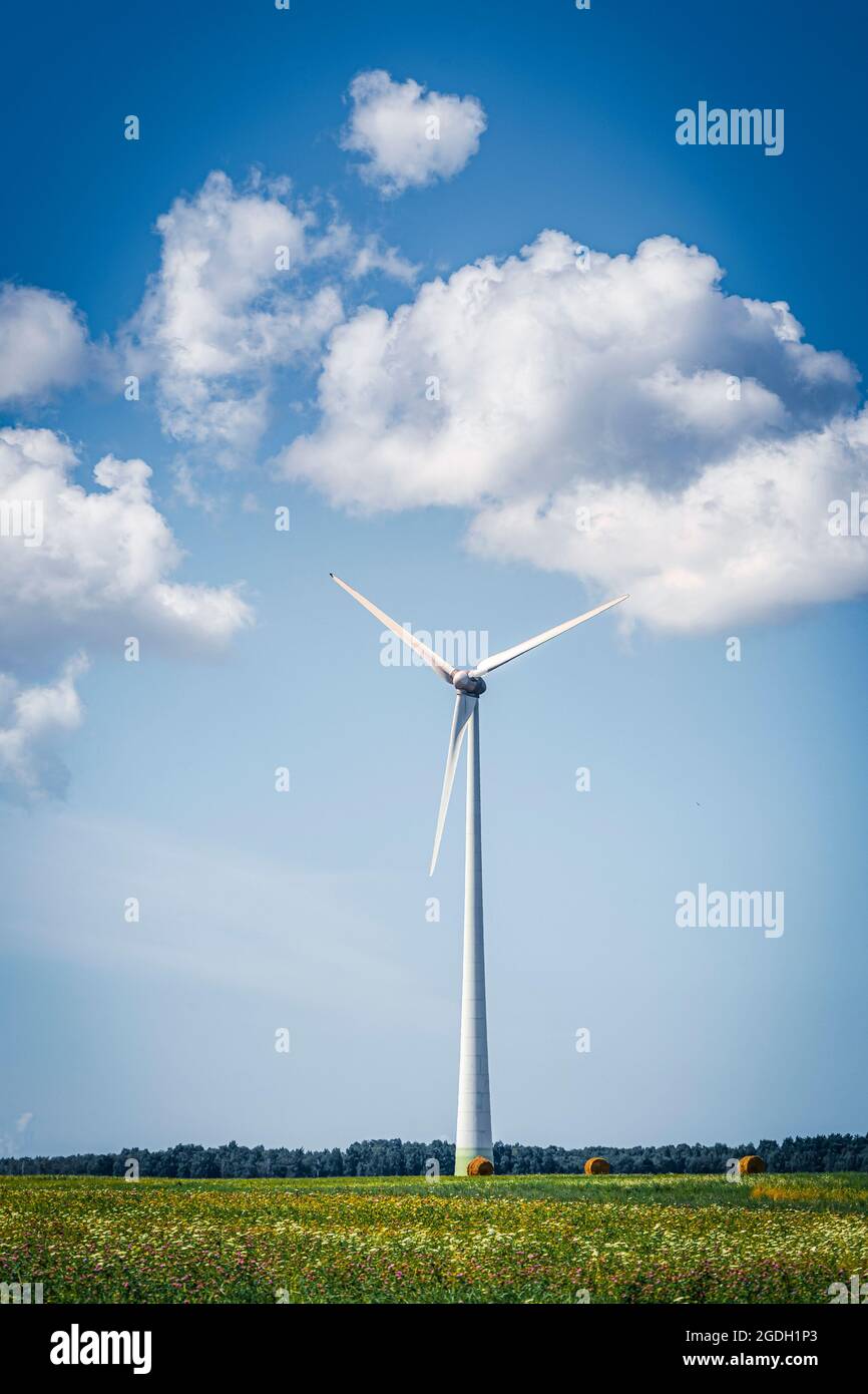 Wind turbines in agricultural grass field on a summer day with blue sky ...