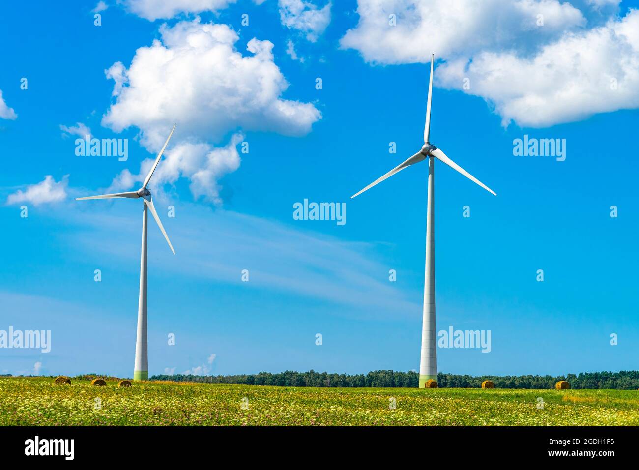 Wind turbines in agricultural grass field on a summer day with blue sky ...