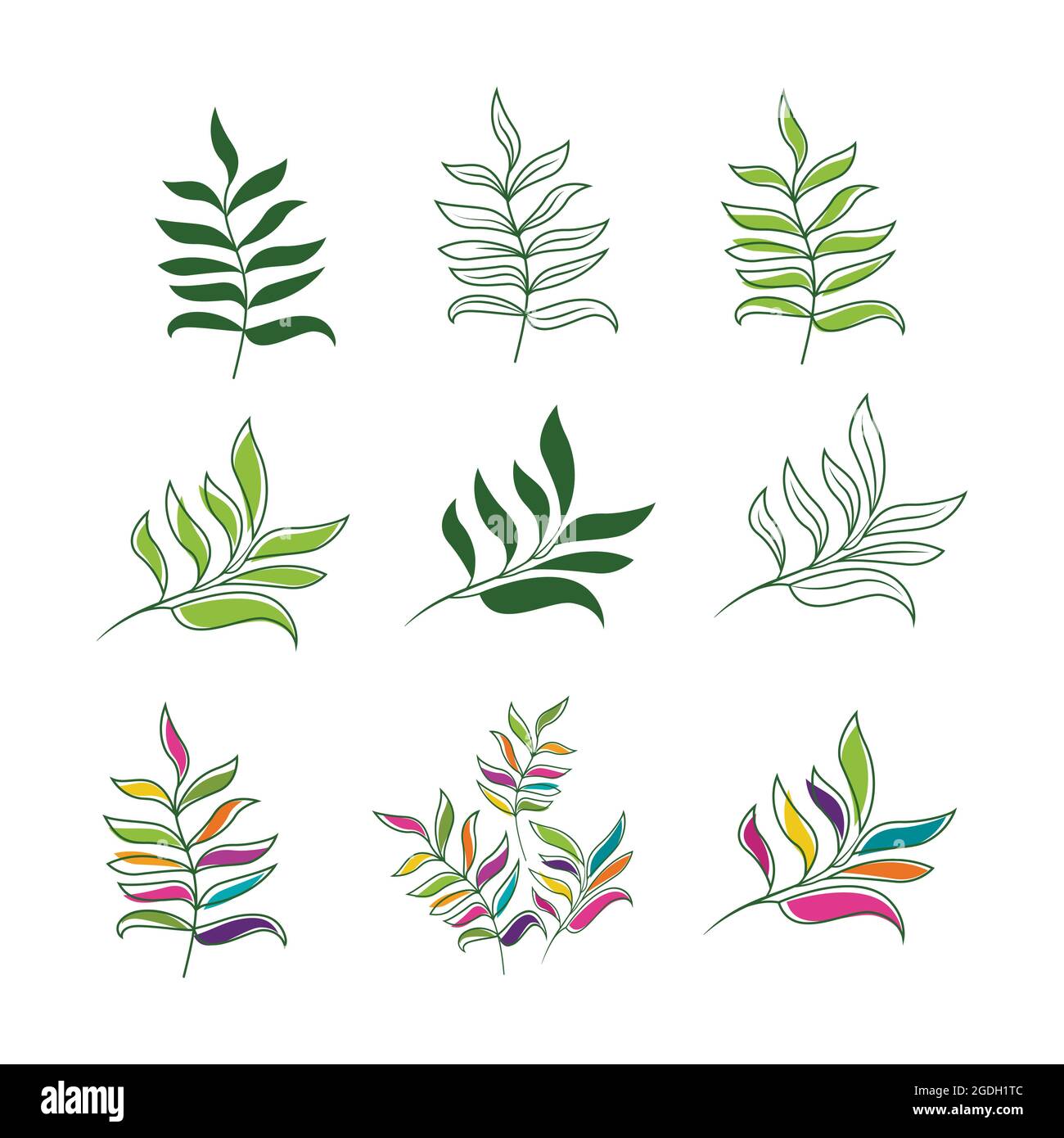 tropical leaf Vector icon design illustration Template Stock Vector ...