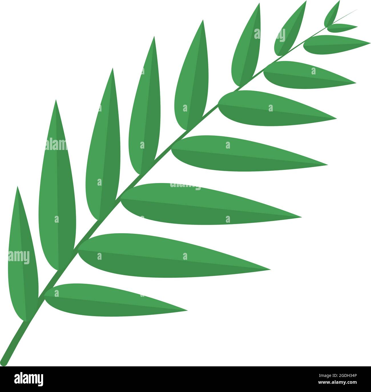 tropical leaf on white background Stock Vector Image & Art - Alamy