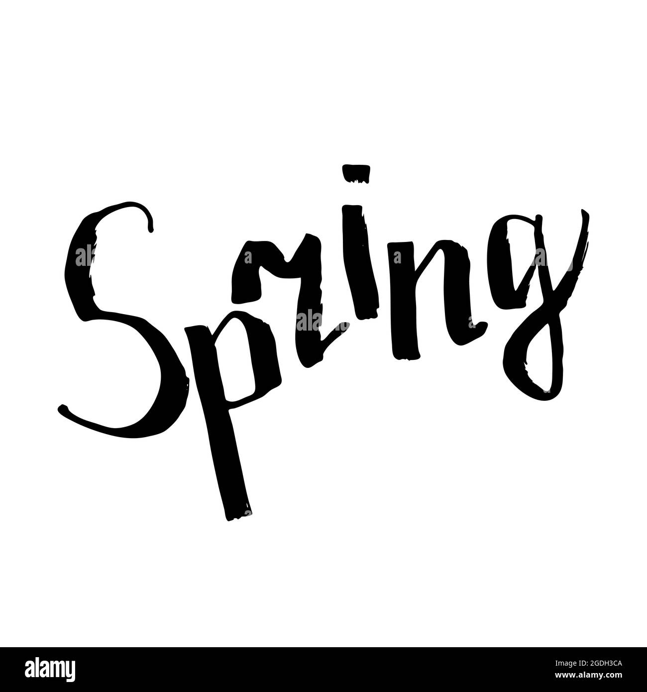 Lettering Spring. Word spring isolated on a white background. Black