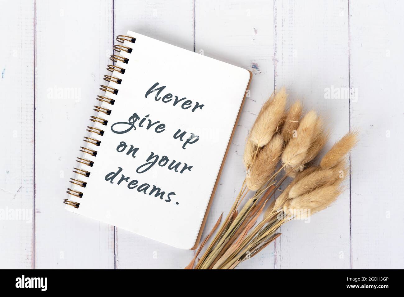 Never give up on your dreams hi-res stock photography and images - Alamy