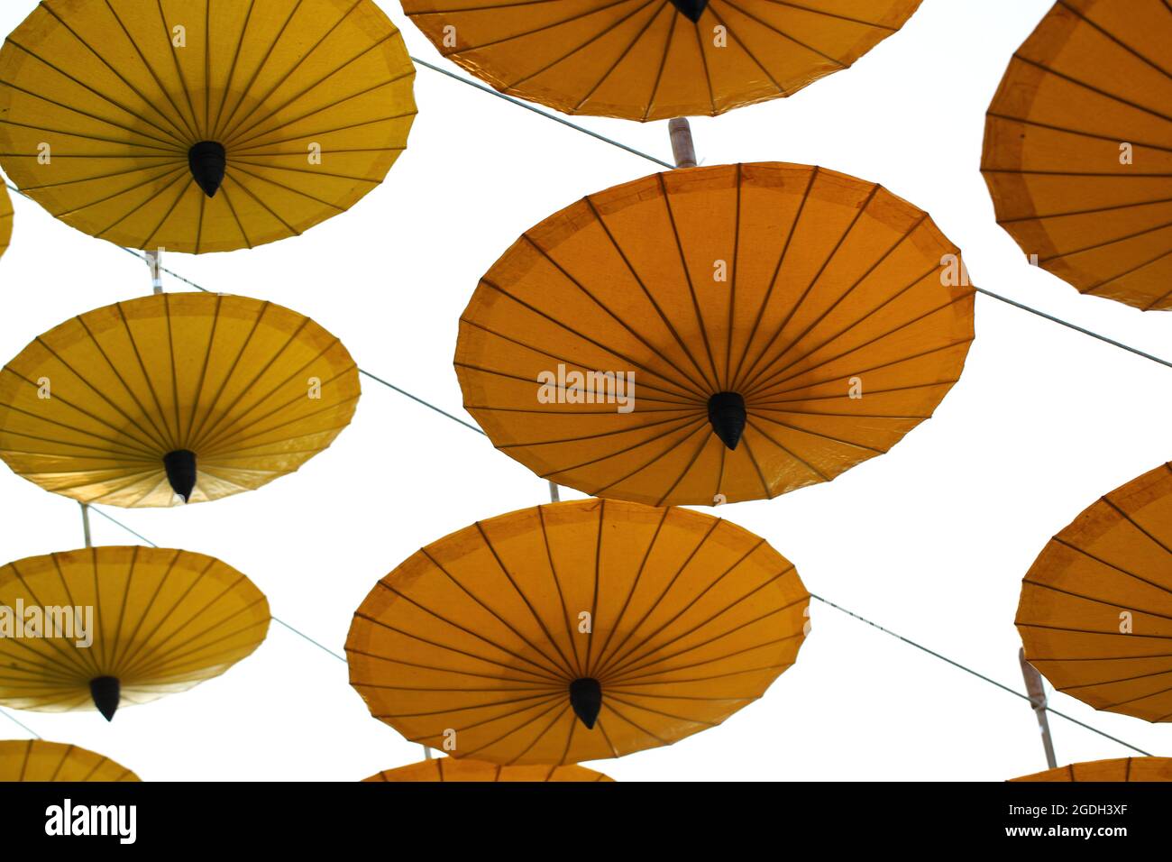 Yellow Umbrella pattern on white background Stock Photo - Alamy