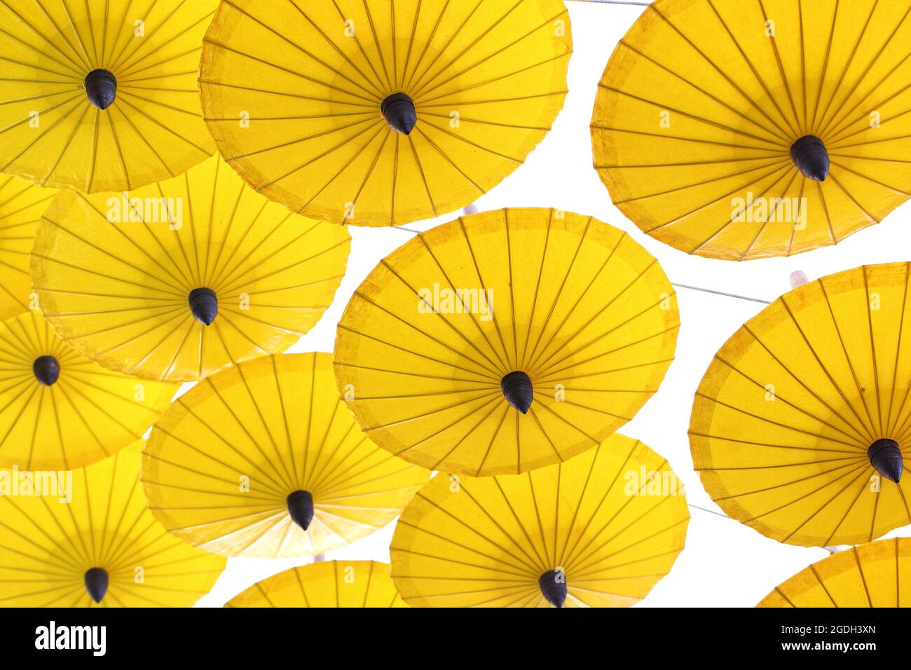 Yellow Umbrella pattern on white background Stock Photo - Alamy