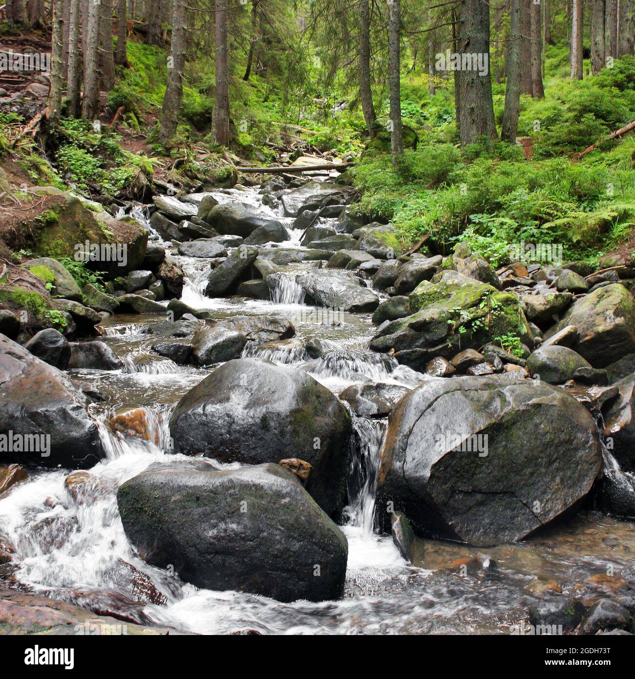 Waterfall in the mountains Stock Photo - Alamy