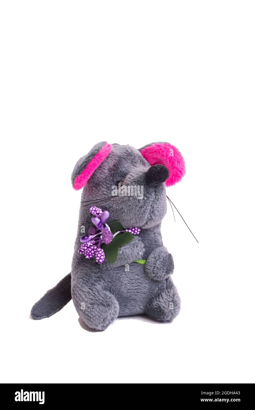 Plush toy gray mouse isolated on white background close up Stock Photo