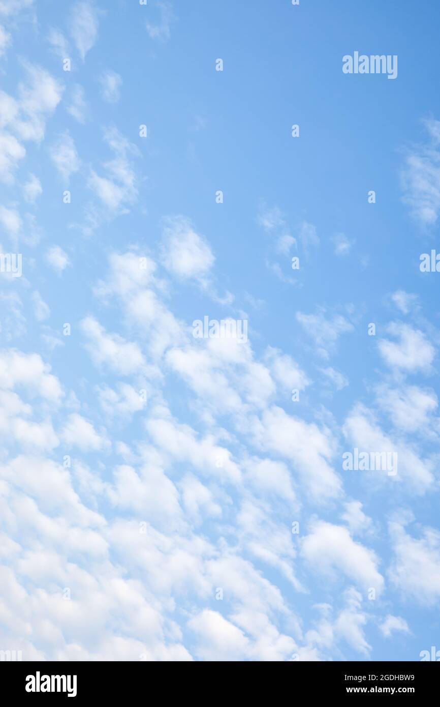 Sky with white small clouds. Cloudscape, vertical background with space for your own text Stock Photo
