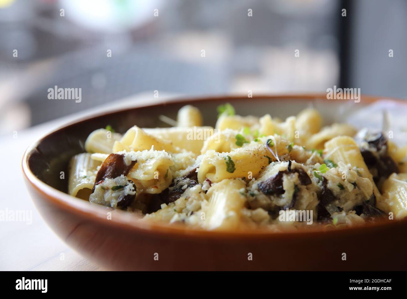 pasta mushroom truffle oil on wood background , Rigatoni pasta noodle