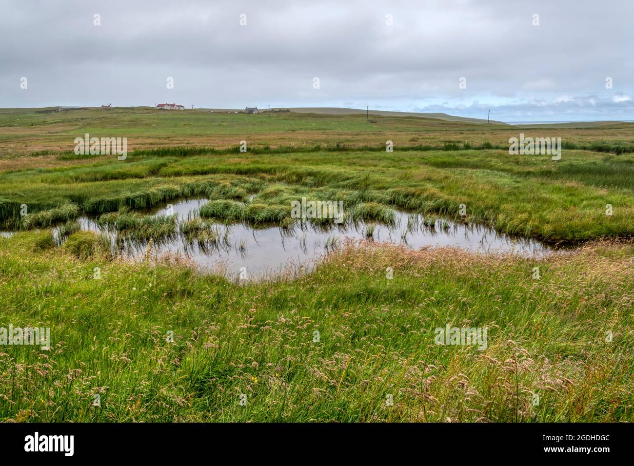 The view from the hide at RSPB Fetlar bird reserve on the island of Fetlar, Shetland. Stock Photo