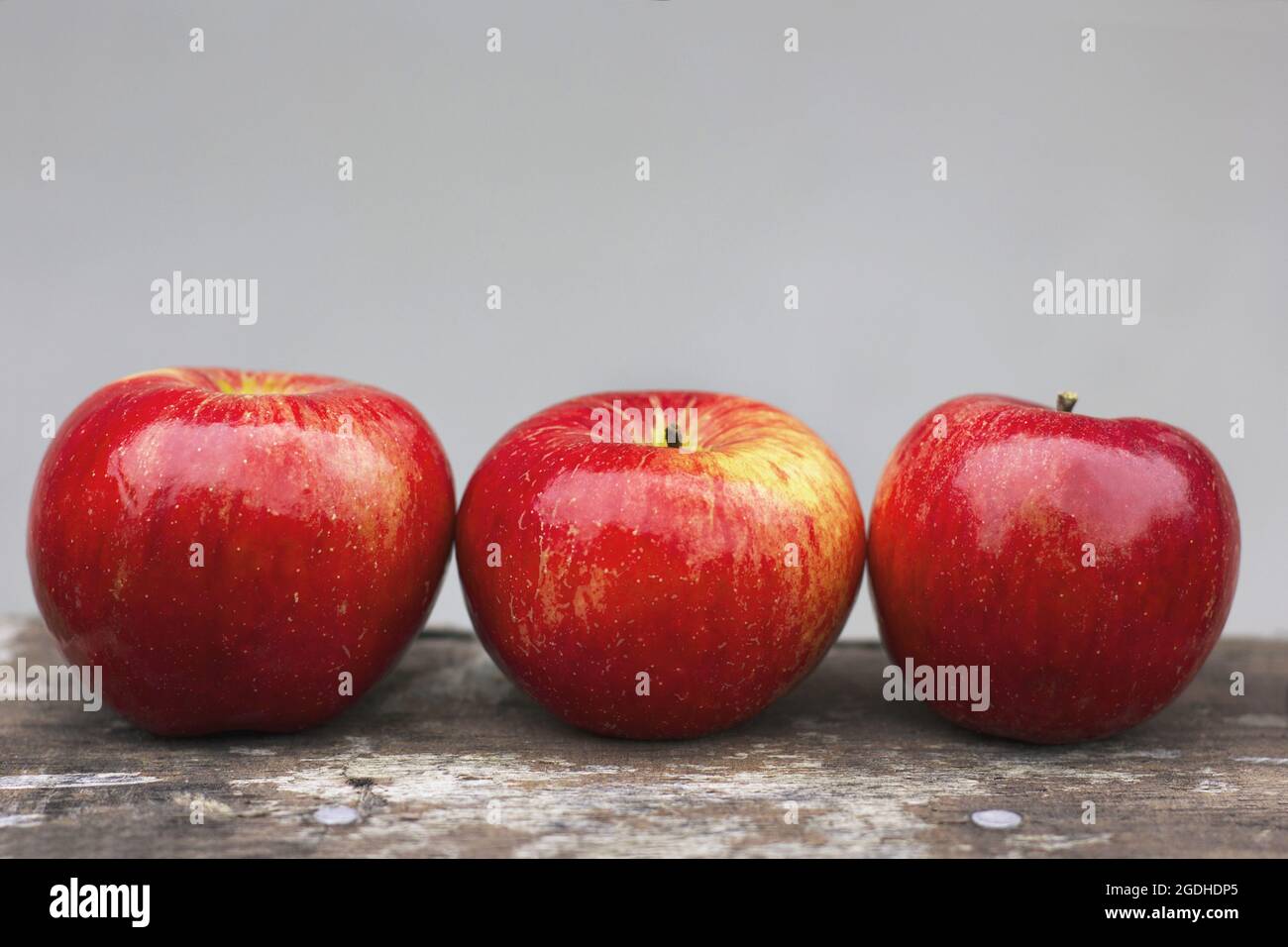 Three red apples on a gray background Stock Photo