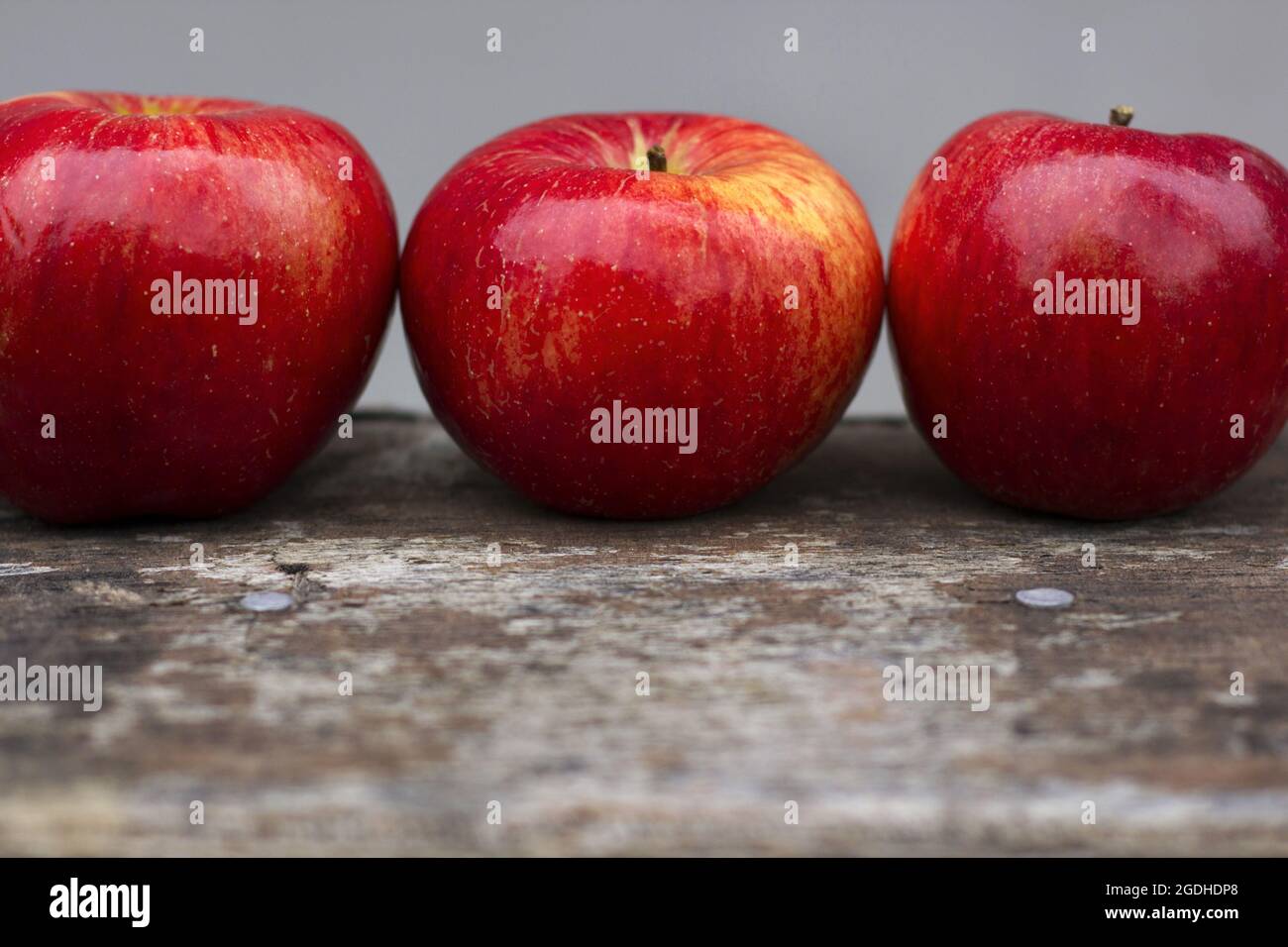 Three red apples on a gray background Stock Photo