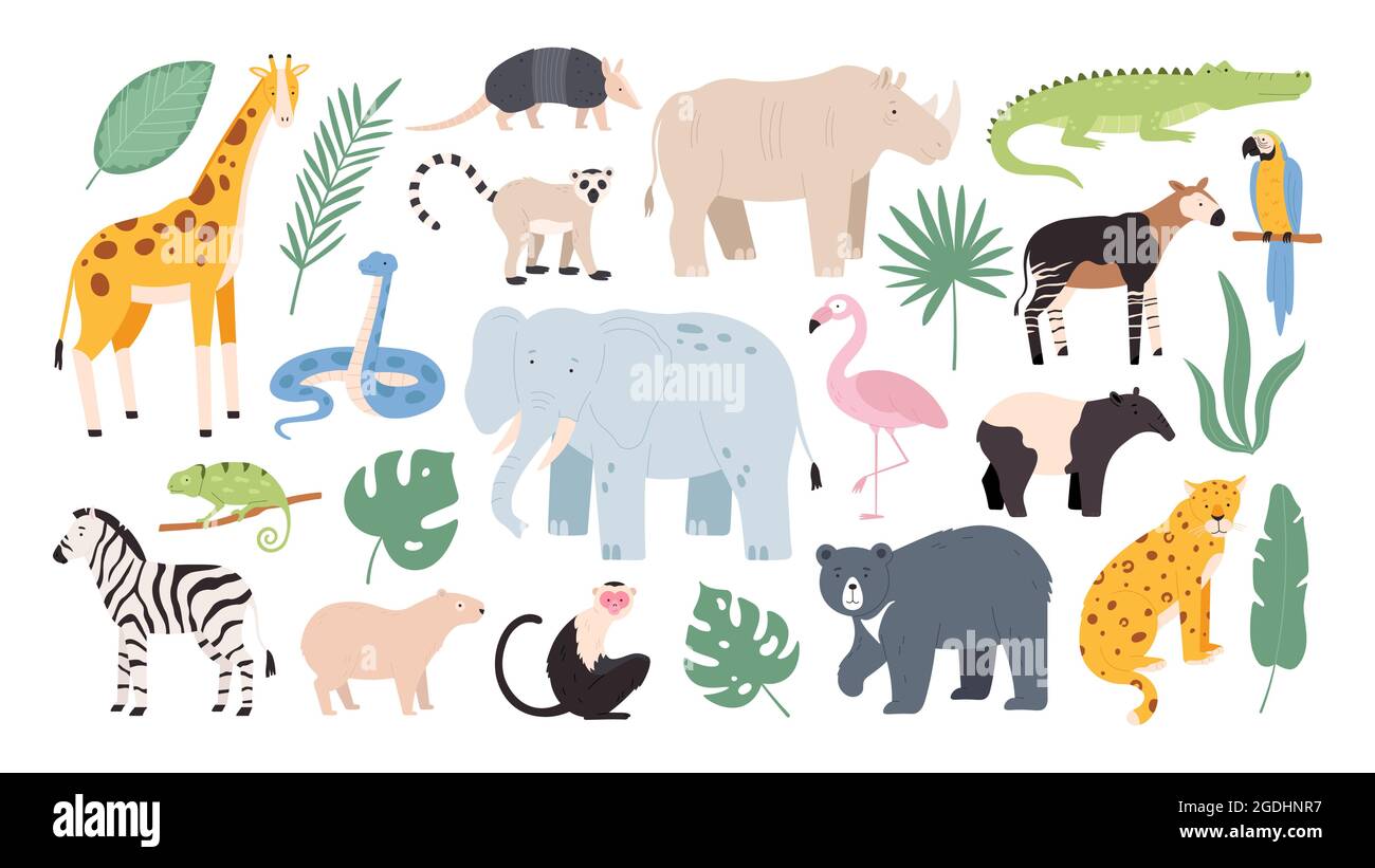 Flat wild safari animals from rainforest and savanna. Jungle forest birds,  monkey and snake. African zebra, crocodile and jaguar vector set Stock  Vector Image & Art - Alamy