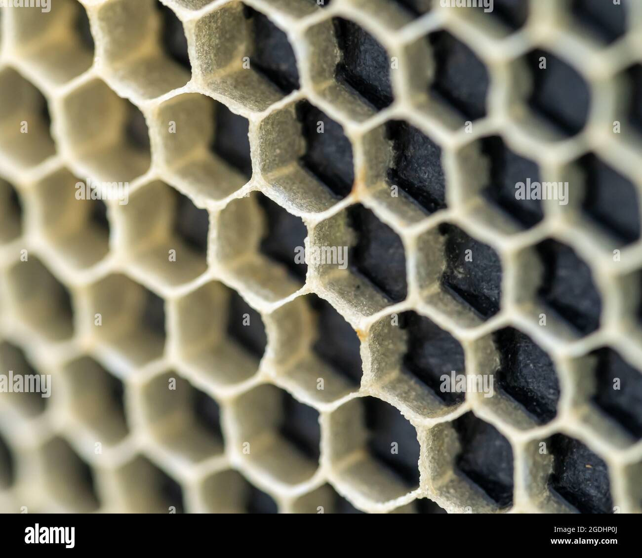 New Beeswax on Black Foundation Stock Photo