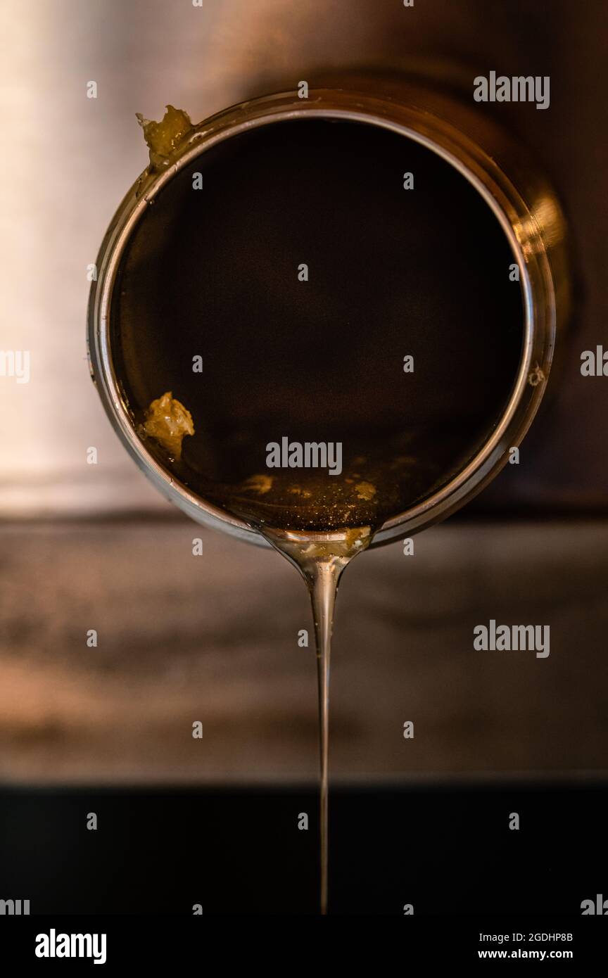 Honey Dripping out of Extractor Stock Photo