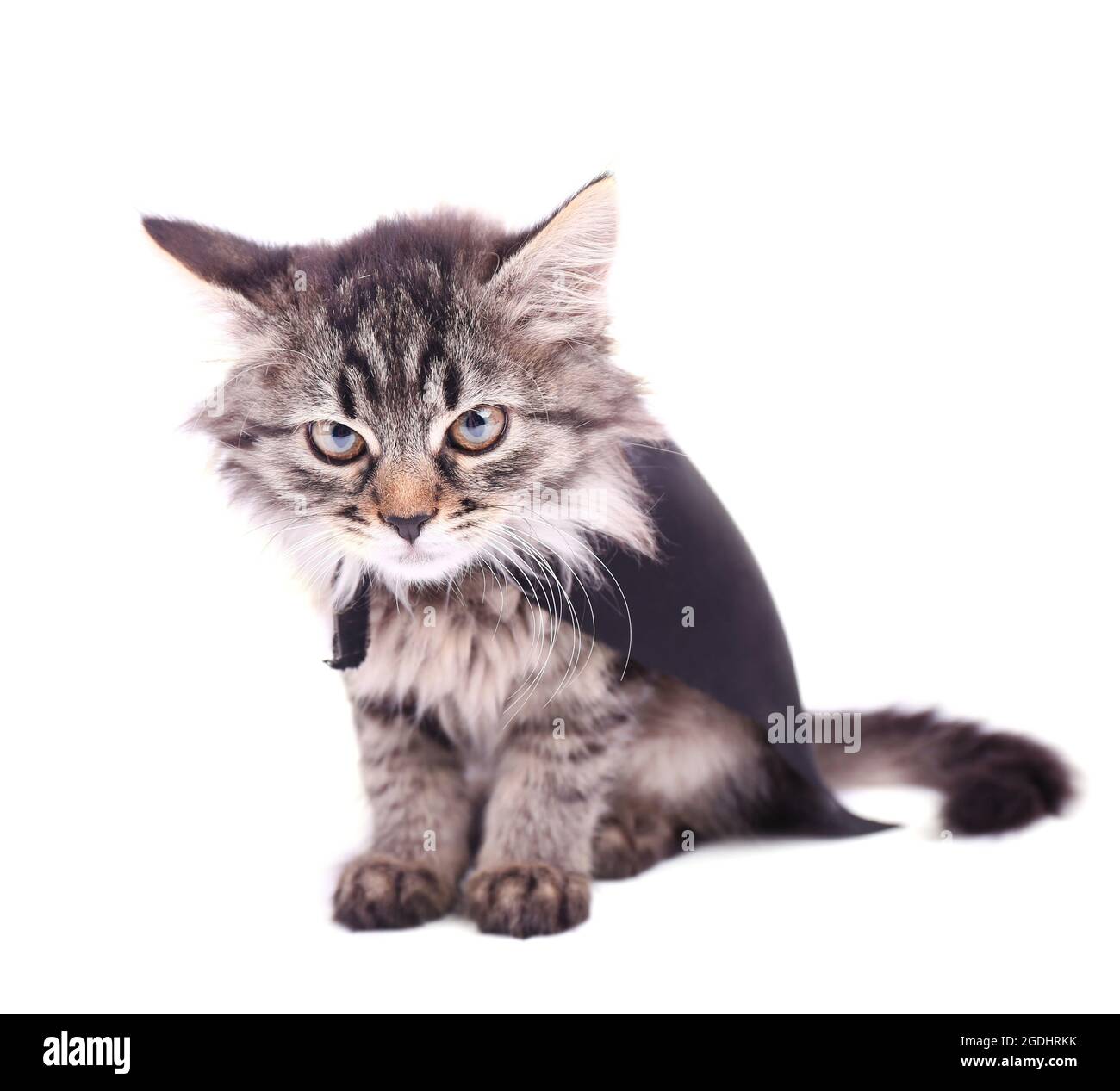 Black Cloak High Resolution Stock Photography and Images - Alamy