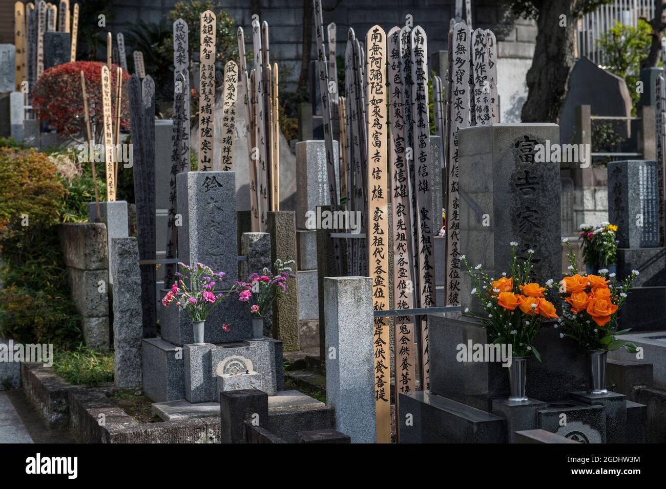 traditional Japanese grave yard in the outskirts of Tokyo Stock Photo