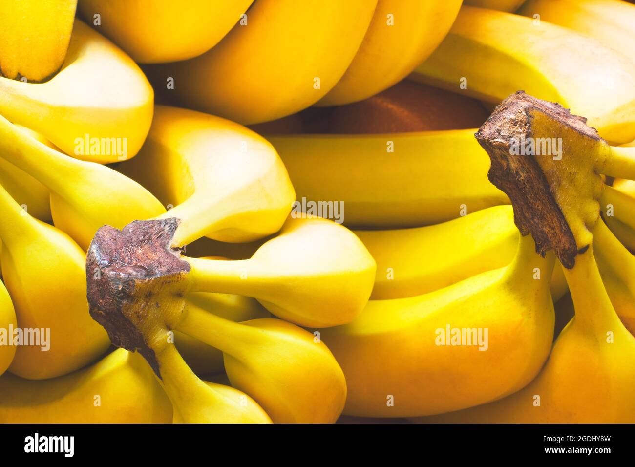 Yellow banana. Background of bananas. Fruits. Food background Stock